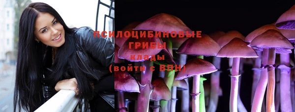 первитин Белоозёрский