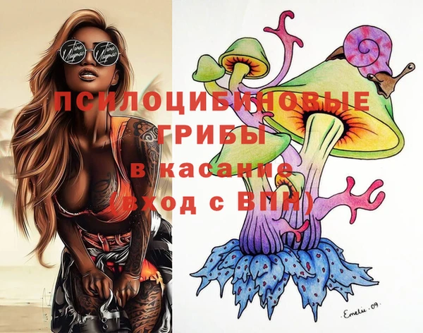 сатива Белокуриха
