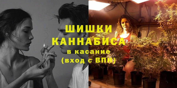 первитин Белоозёрский