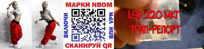 Купить закладки Фрязино Наркотические марки 1,8мг